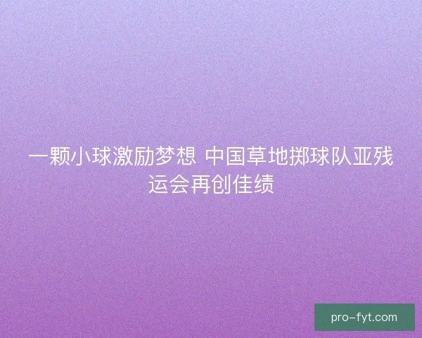 一颗小球激励梦想 中国草地掷球队亚残运会再创佳绩